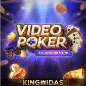 Video Poker machine cover